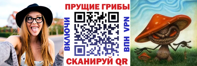 Галлюциногенные грибы мицелий Озёрск